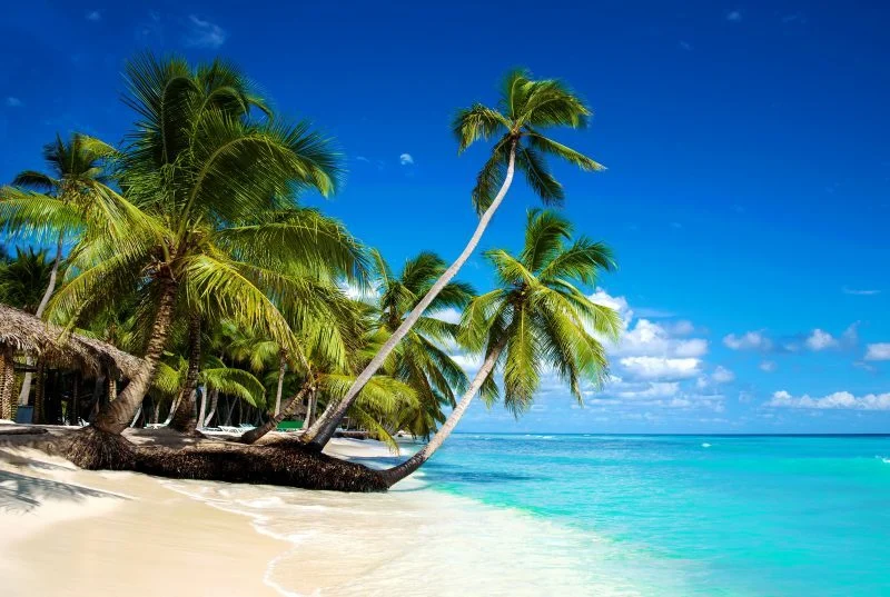 Punta Cana 7 noches todo incluido